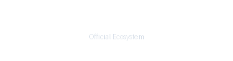Shopify Partner